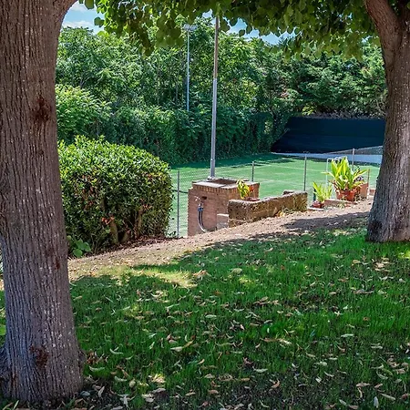 S310 - Sirolo, Trilocale Con Piscina E Vista Mare Appartement *